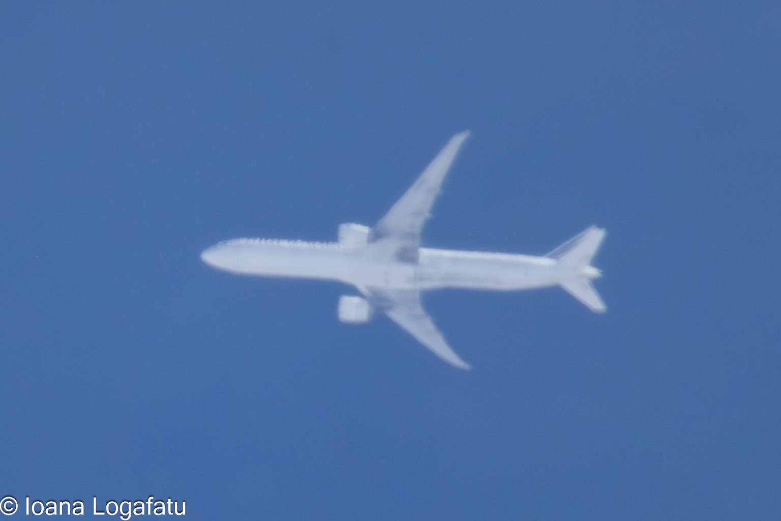 Soaring through the blue sky on a clear day